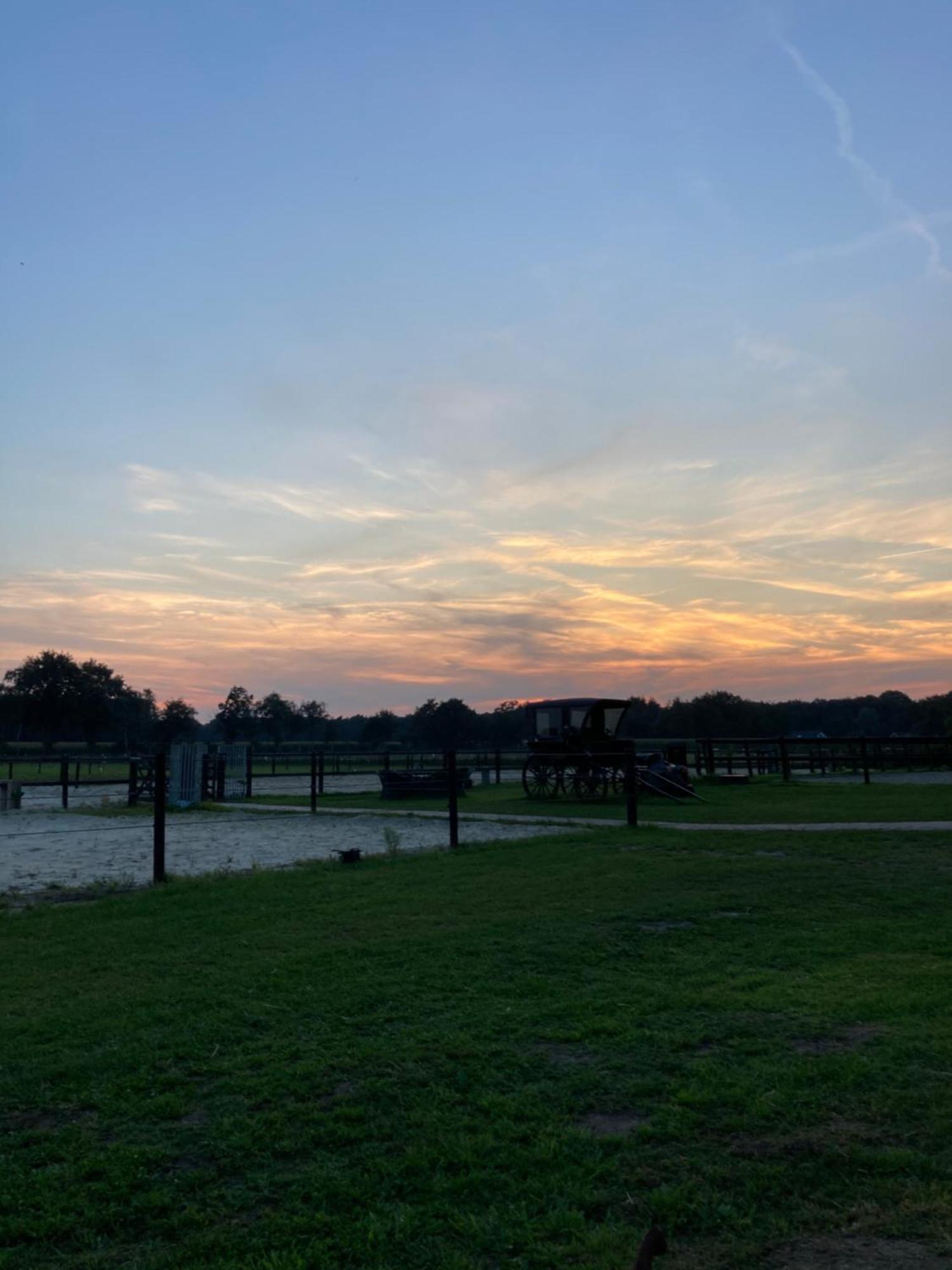 Bed & Breakfast Hoeve Happiness - Ontbijt Inbegrepen - Wellness Aanwezig Voorthuizen Kültér fotó