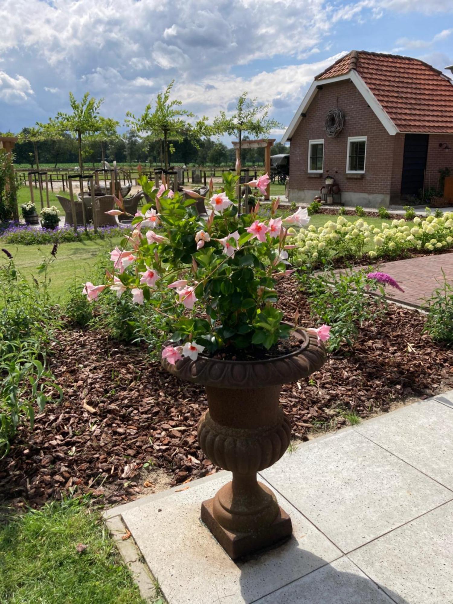 Bed & Breakfast Hoeve Happiness - Ontbijt Inbegrepen - Wellness Aanwezig Voorthuizen Kültér fotó