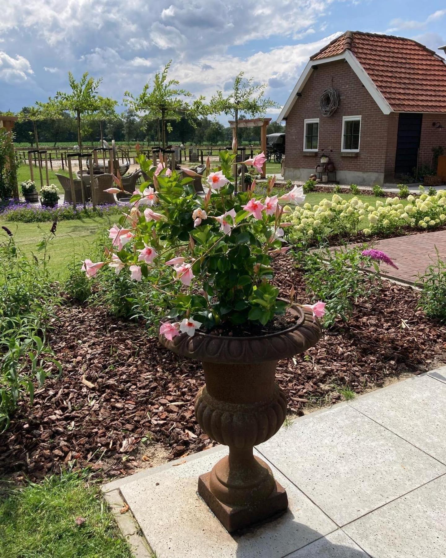 Bed & Breakfast Hoeve Happiness - Ontbijt Inbegrepen - Wellness Aanwezig Voorthuizen Kültér fotó