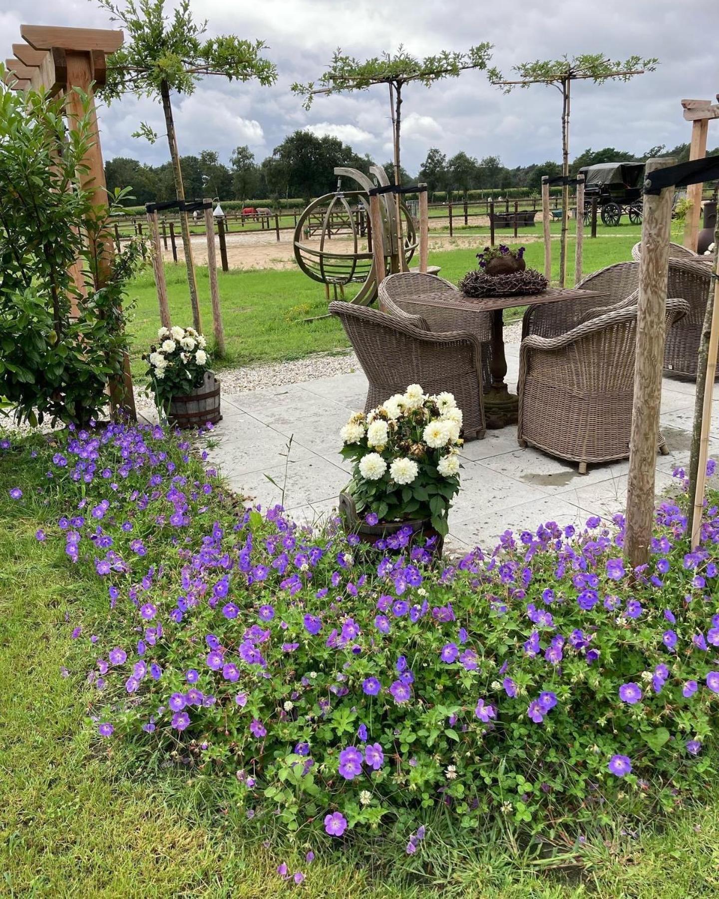 Bed & Breakfast Hoeve Happiness - Ontbijt Inbegrepen - Wellness Aanwezig Voorthuizen Kültér fotó