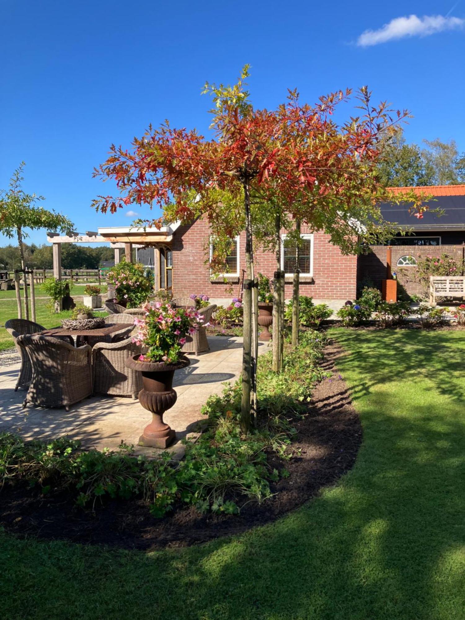 Bed & Breakfast Hoeve Happiness - Ontbijt Inbegrepen - Wellness Aanwezig Voorthuizen Kültér fotó