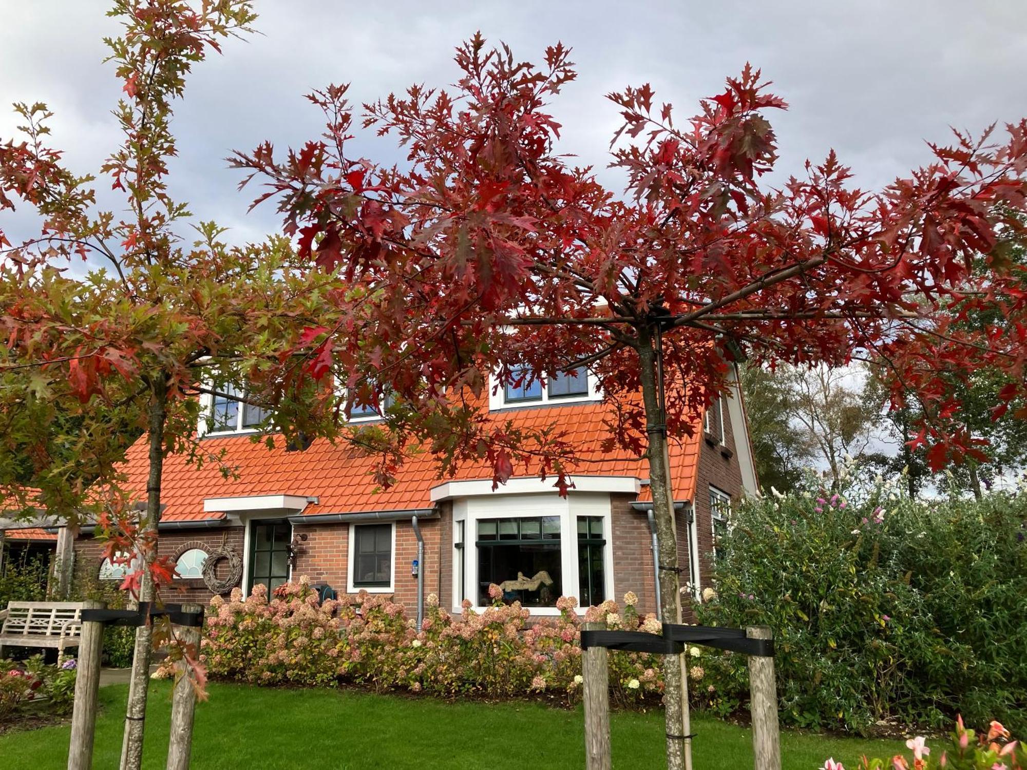 Bed & Breakfast Hoeve Happiness - Ontbijt Inbegrepen - Wellness Aanwezig Voorthuizen Kültér fotó